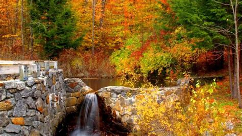 Waterfall Stones Bridge Lake In Colorful Autumn Trees Forest Background