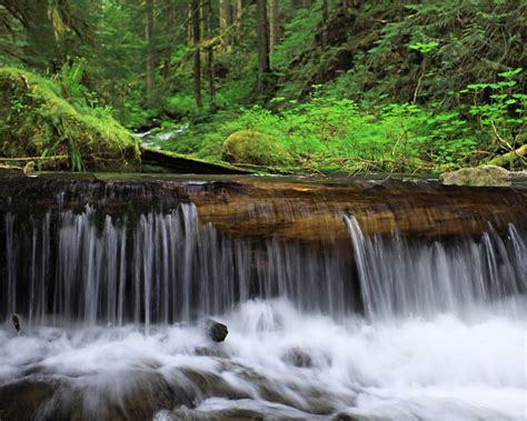 Time Lapse Photography Of Waterfalls Inside Forest During Day Time Hd