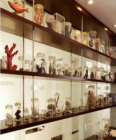Displaying Collections Top Tips Learn Display Secrets Top Interior
