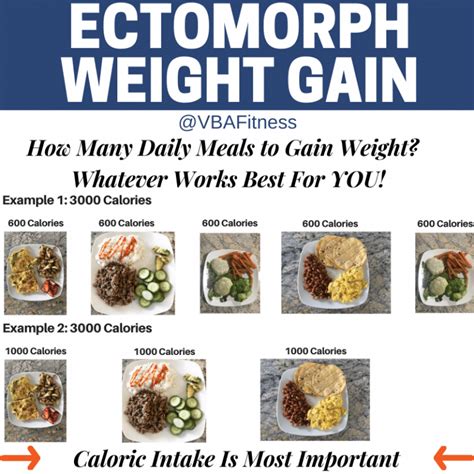 The Best Ectomorph Diet For Skinny Frustrated Lifters