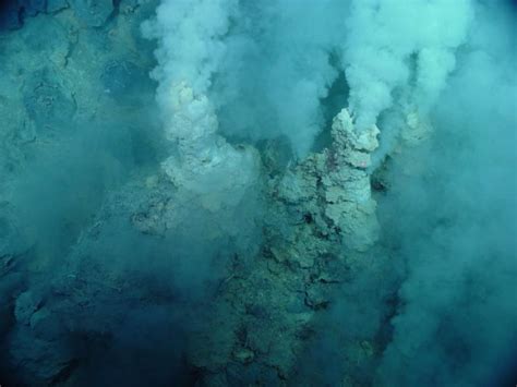 Marine Microbes Smithsonian Ocean