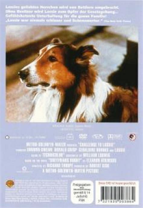 Lassie In Not Dvd Oder Blu Ray Leihen Videobusterde