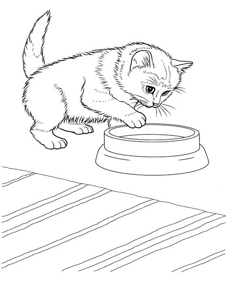 Printable Coloring Pages Of Kittens