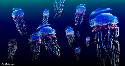 Jellyfish Underwater Ocean Sea Bokeh Jelly 28 Wallpapers Hd