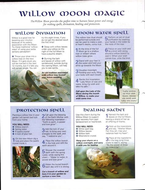 Enhancing Mind Body Spirit 21 Nature Magic Card 9 Back Willow Moon