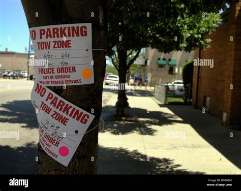 No Parking Signs Affixed To A Tree On A Street On Chicagos South Side
