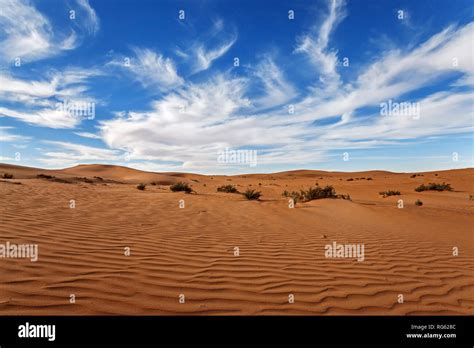 Desert Landscape Saudi Arabia Stock Photo Alamy