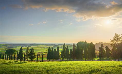 Sunset Landscape In Maremma Rolling Hills And Cypress Trees Roa