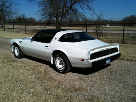 It could be a pace car, but there's no way to tell, since there isn't any physical difference. 1981 trans am pace car