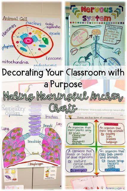 How To Create Meaningful Anchor Charts To Decorate Your Classroom With