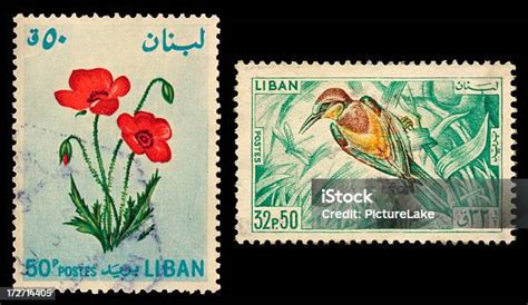 Lebanon 19645 Perangko Bunga Burung Foto Stok Unduh Gambar Sekarang