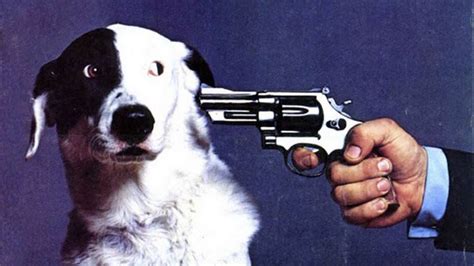 Dog Gun Blank Template Imgflip
