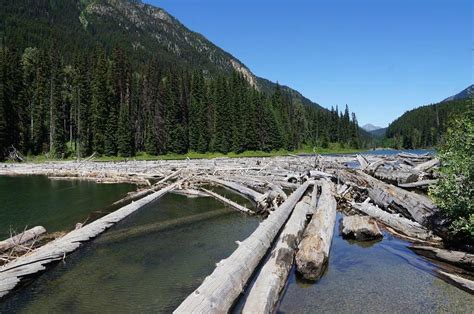 Duffey Lake Provincial Park Darcy All You Need To Know Before You Go