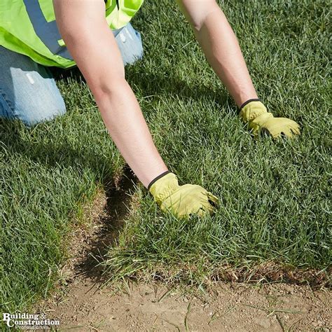 If so, how well did the new sod do during the season? Everything to Know Before Laying Sod & How to Lay Sod ...