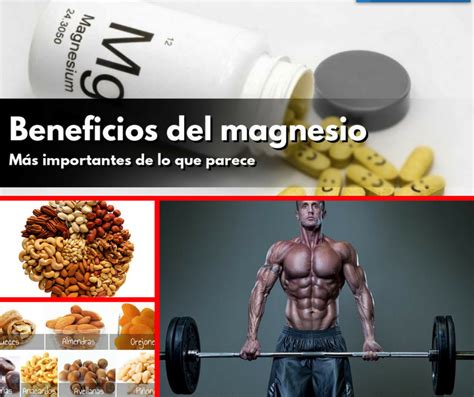 Descubre Los Beneficios Del Magnesio Beneficios Del Magnesio