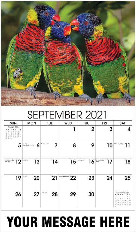 These are notable albums, defined as having received significant coverage from reliable sources. 2021 Promotional Calendar | Household Pets and Animals ...