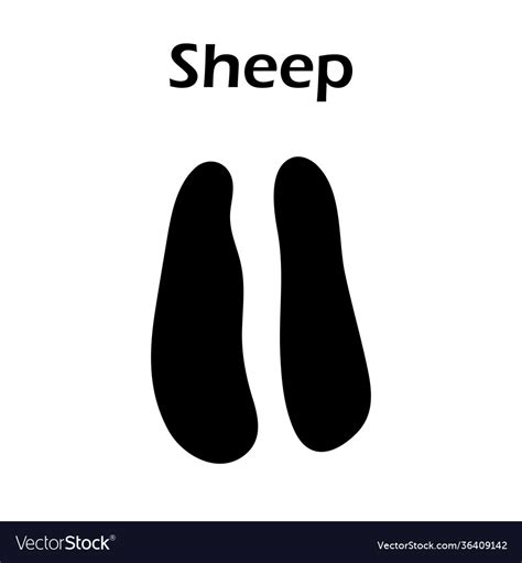 Sheep Footprints