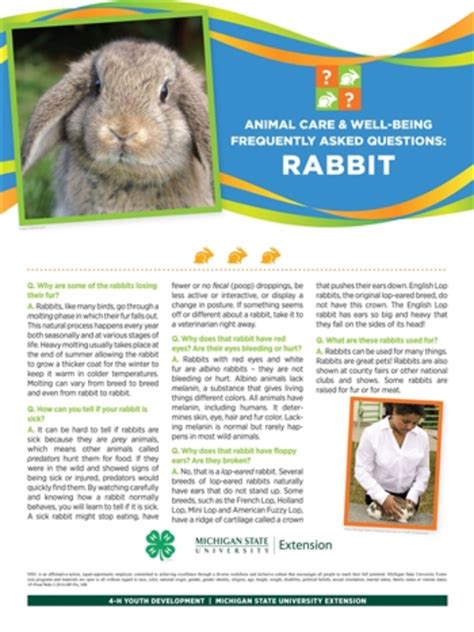 4 H Animal Care And Well Being Poster Rabbit 4h1699 Msu Extension