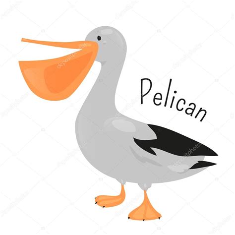Cartoon Pelican Isolated On White — Stock Vector © Kannaa 115503720