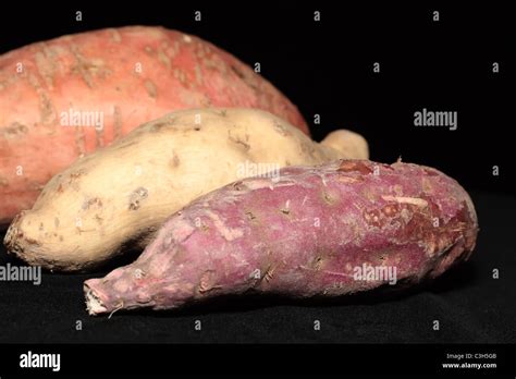 Three Kinds Of Sweet Potatoes That Is Purple Skin With White Flesh