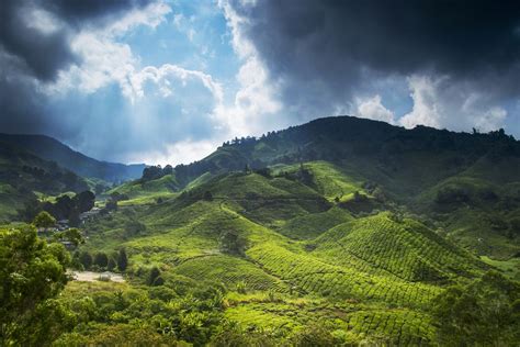 Compared to robinsons fall it is the smaller one. Cameron Highlands - Malaysia | DIGIFOTO Pro