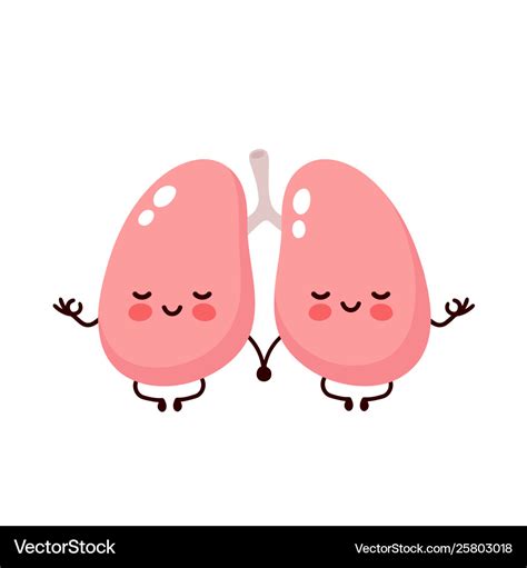 Strong Cute Healthy Happy Lungs Royalty Free Vector Image