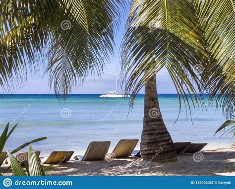 Relaxing Sun Lounges On A Caribbean Beach Stock Image Image Of Exotic