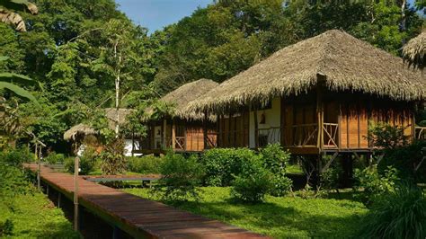 Sacha Lodge Yasuní Wildlife Reserve Ecuador