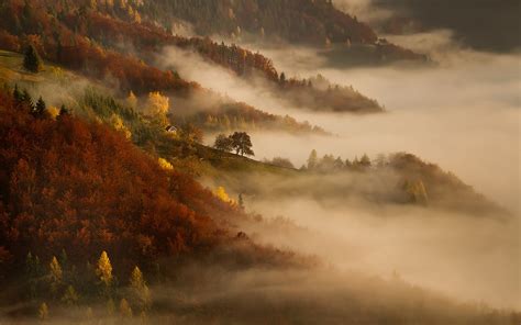 Mist Nature Sunrise Landscape Morning Fall Mountain