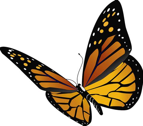 Realistic Monarch Butterfly Clipart Free Download Transparent Png