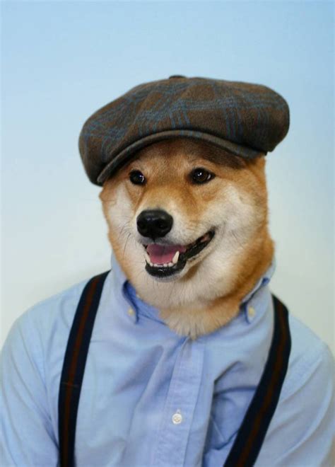 Bodhi The Menswear Dog Models Real Mens Clothes For Major Fashion
