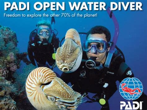 Learn To Dive Basic Open Water Scuba Diver