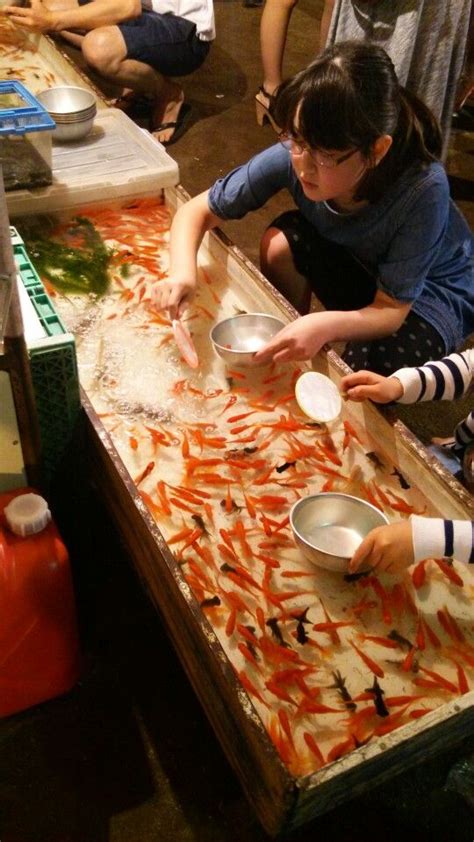 Goldfish Scoop Kingyo Sukui Japanese Goldfish Beautiful Places In
