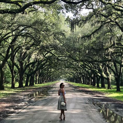 Maybe you would like to learn more about one of these? Wormsloe Historic Site - GALUXSEE
