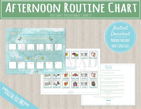Afternoon Routine Chart For Toddlers Toddler Matching Etsy