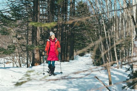 札幌市定山渓自然の村（北海道） ふゆキャン 安全で暖かい冬キャンプを楽しもう！