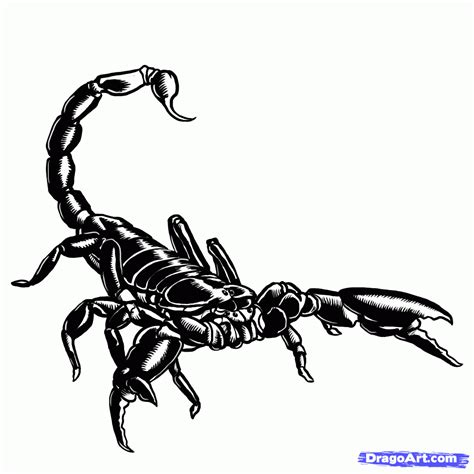 How To Draw Scorpions Scorpion Tattoo Hand Tattoos For Guys Scorpion
