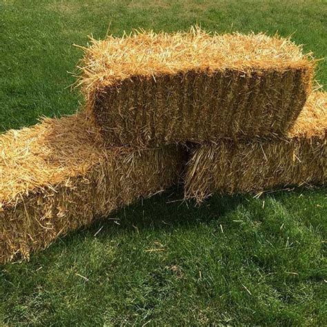 Small Square Wheat Straw Bales Near Manhattan Kansas Hay Bales