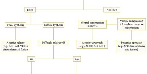 Algorithm To Assist With Operative Decision Making For Cervical