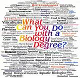 Images of Jobs For Biology Degrees