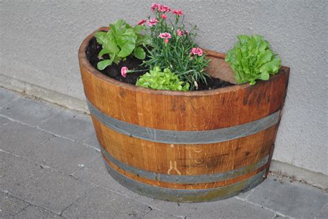 The Ultimate Guide To Oak Barrel Planters Transform Your Garden With