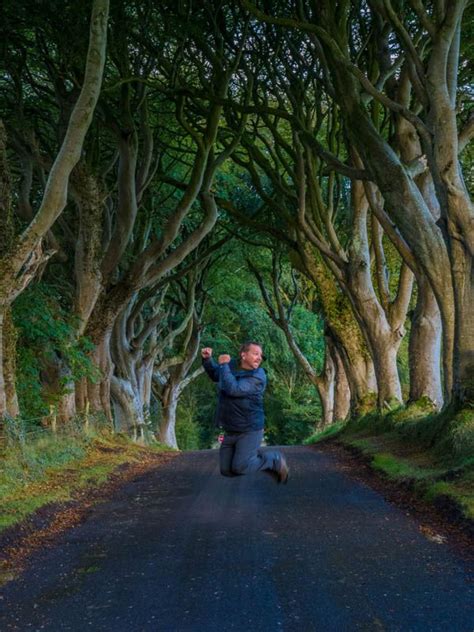 The Dark Hedges Of Northern Ireland Tips To Visit And What You Need