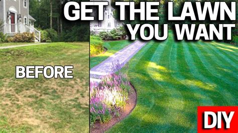 How to maintain your new lawn with care? Pin on Lawn Care