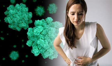 In most cases, food poisoning usually shows up hours or days after you've eaten something that made you sick. Norovirus symptoms: Do you have food poisoning or the ...