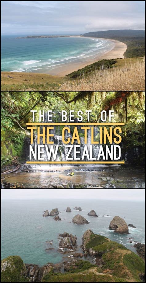 The Catlins New Zealands Rugged Coastal Paradise Nz South Island Nz Travel New Zealand