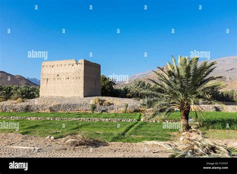 Sultanate Of Oman Gouvernorate Of Ad Dhahirah Wadi Damm Mud Brick