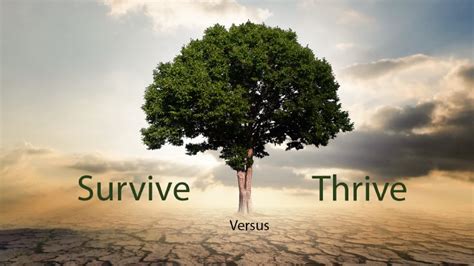 Survive Versus Thrive Covenant Keepers Inc
