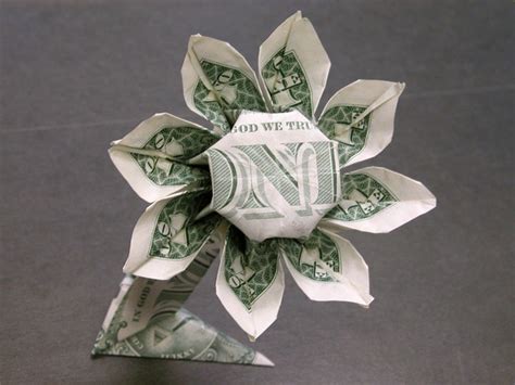 Dollar Bill Daisy Flower Flickr Photo Sharing