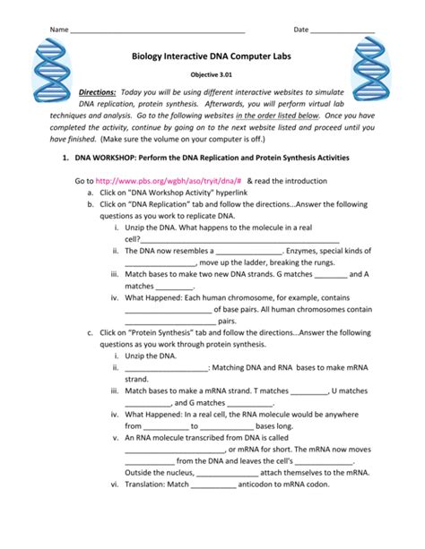 The enzyme rna polymerase binds to dna during transcription and separates the . Dna Replication And Protein Synthesis Virtual Lab Sheet ...