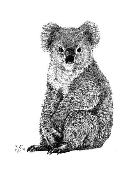 Check spelling or type a new query. Koala illustration inspiration | DESAING ♥ | Pinterest ...